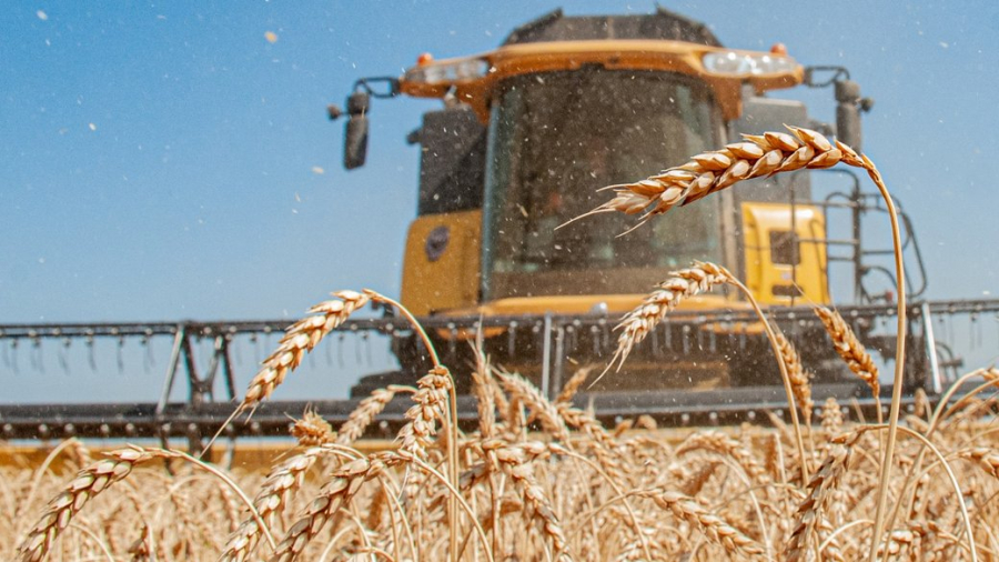 У Польщі заявили про призупинення імпорту українського зерна до липня