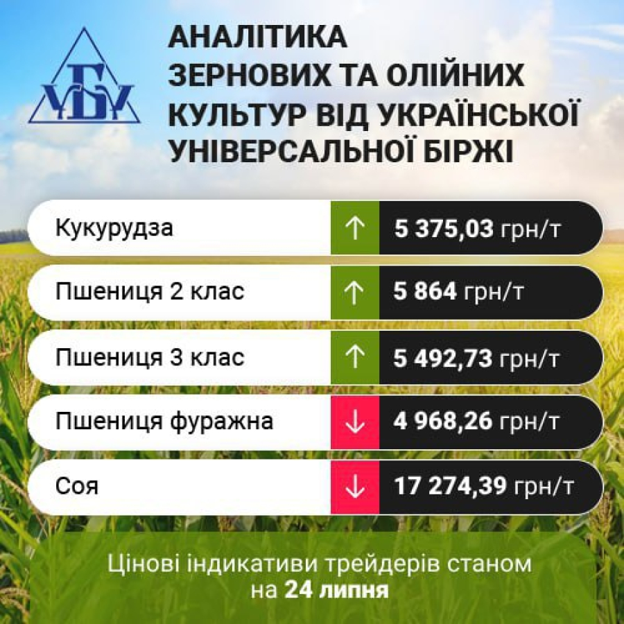 В Україні зросли ціни на пшеницю та кукурудзу