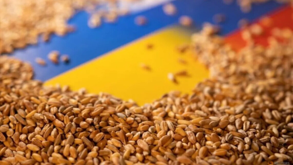 Комісар ЄС вніс пропозицію продовжити заборону на імпорт українського зерна
