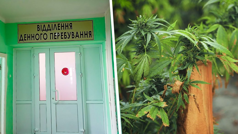 Легалізація медичного канабісу: яким пацієнтам на Кіровоградщині потрібні такі ліки