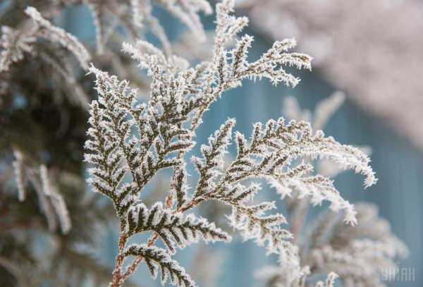 У січні в Україну прийдуть морози. Синоптик спрогнозувала дату різкого похолодання