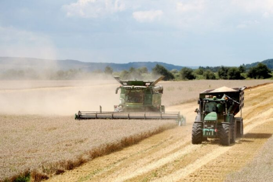 Жнива 2023: зібрано вже понад 16 млн тонн зерна