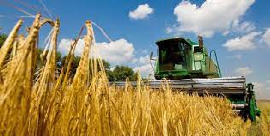 Аграрії зібрали 43,6 млн тонн зернових