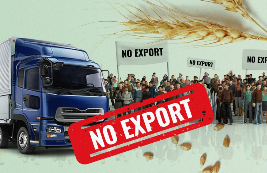 Фермери в ЄС жаліються на збитки через дешеве українське зерно та вимагають дотацій. Чи винна в цьому Україна?
