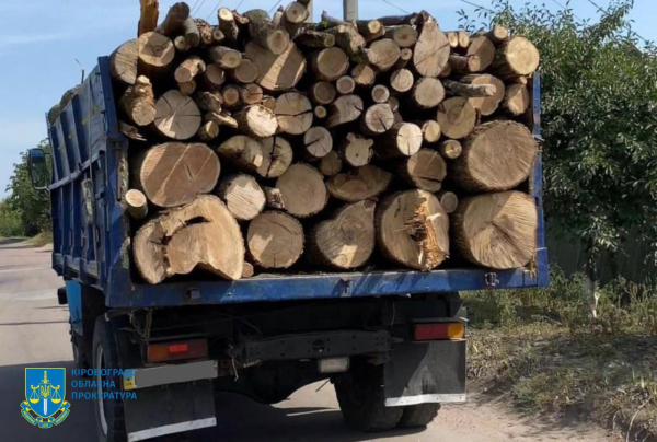 На Кіровоградщині затримали «чорних лісорубів» з мільйонними оборудками