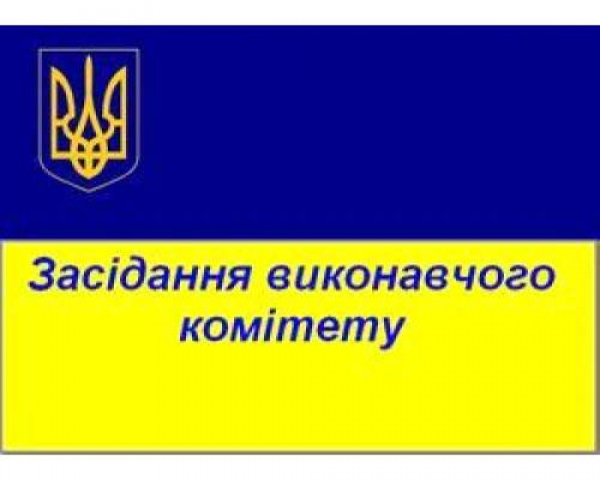 Виконком: «Струмок» та інші питання порядку денного