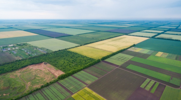 Рада продовжила строк для оформлення земельних паїв ще на три роки