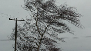 На Кіровоградщині прогнозують шквальний вітер