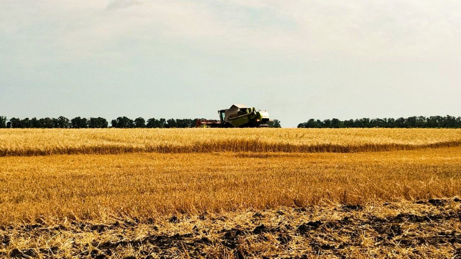 На Кіровоградщині зібрали понад 1,5 мільйона тонн зерна