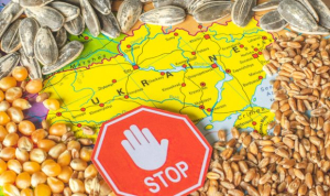 У Польщі розповіли, коли скасують заборону на зерно з України