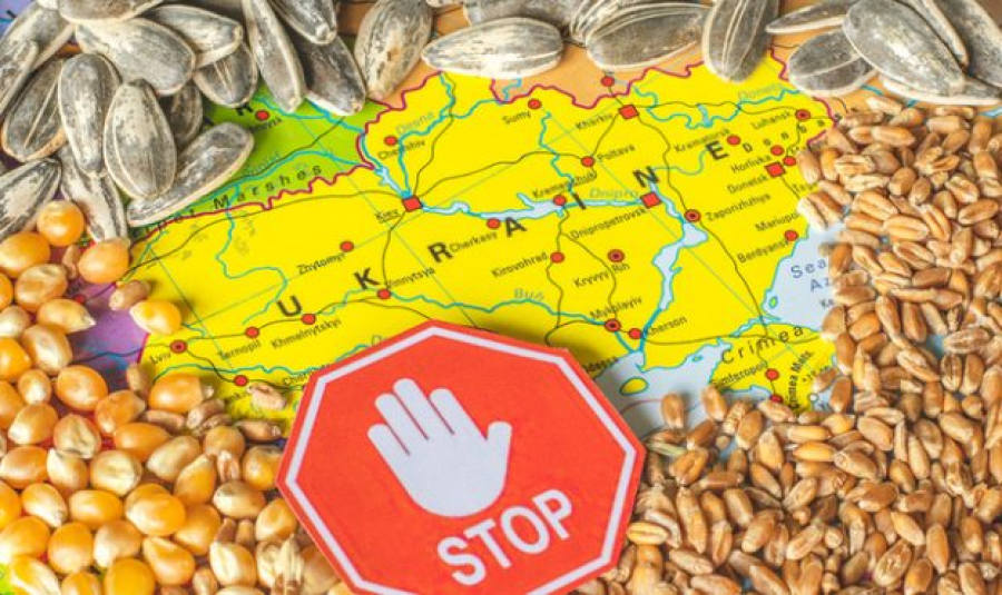 У Польщі розповіли, коли скасують заборону на зерно з України