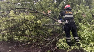 Наслідки буревію на Кіровоградщині: понад 10 тисяч абонентів без електропостачання