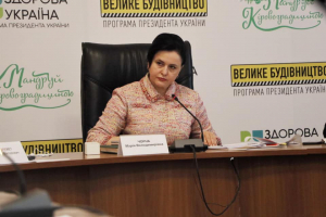 Марія Чорна зустрілася з керівниками громад Новоукраїнського району