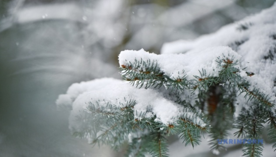 В Україні найближчими днями прогнозується невеликий сніг