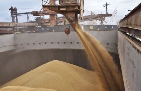 Попри саботаж РФ з портів Одещини за тиждень збільшився експорт зерна