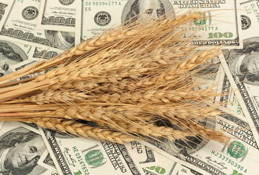 Ринок пшениці: світові ціни продовжують знижуватися