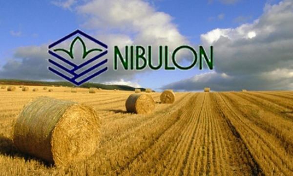 «Нібулон» планує постачати до ЄС до 300 тис. тонн зерна щомісяця