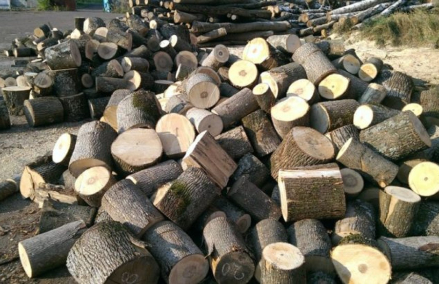 Україна зупиняє експорт паливної деревини