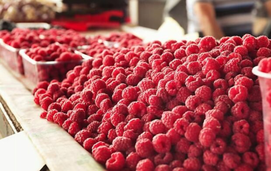 В Україні стартував сезон малини: скільки коштує сезонна ягода на базарах та в супермаркетах