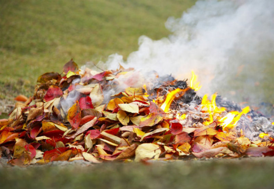 Шкода від спалювання листя та сухостою. Як ми отруюємо себе?